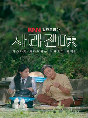 사라진 미